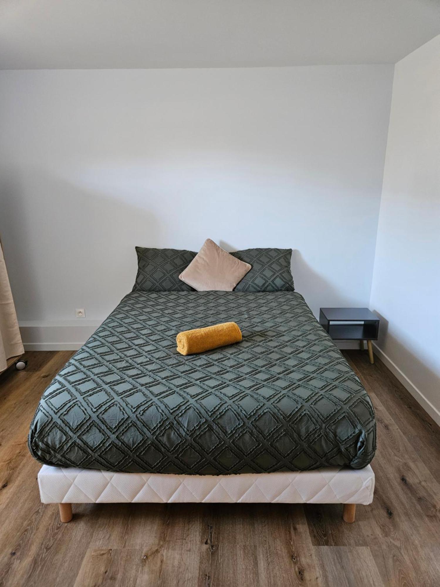 Maison Spacieuse Privatisee Ou A La Chambre - Places De Parking Saint-Michel  Zewnętrze zdjęcie